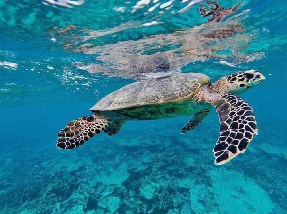 Islandbreak - View 39