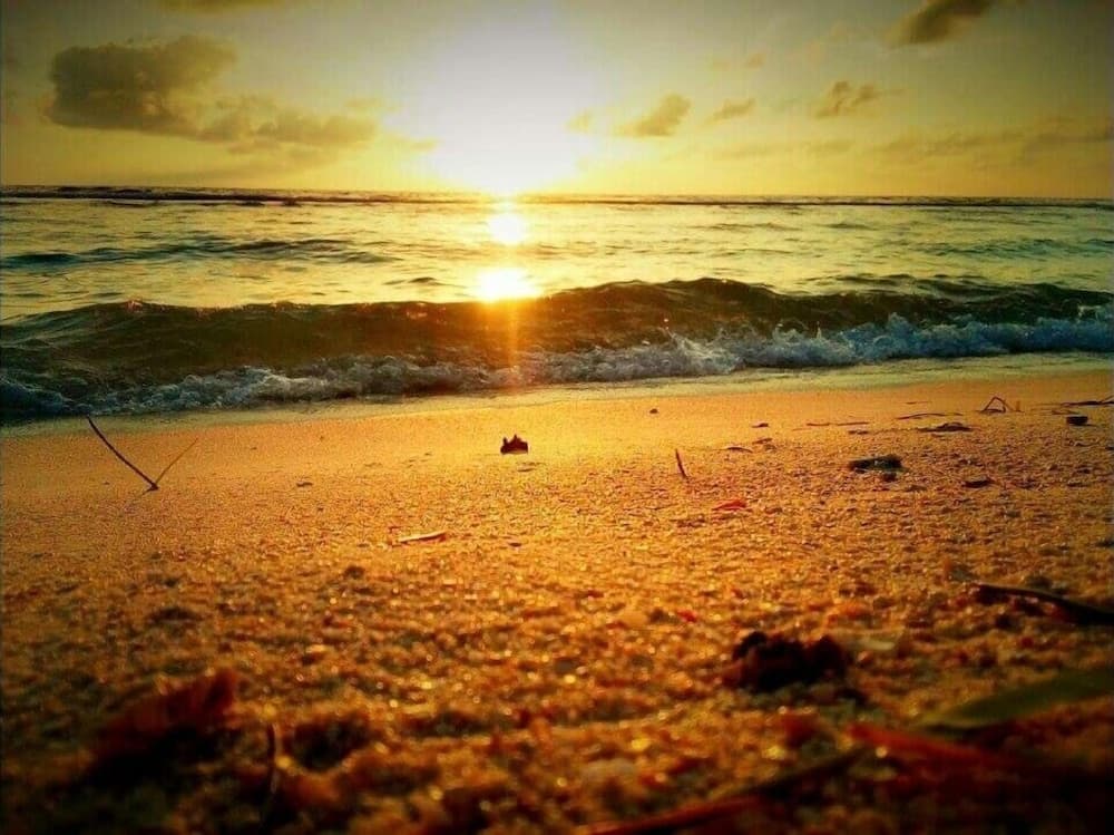 Ungoofaar Inn - View 23