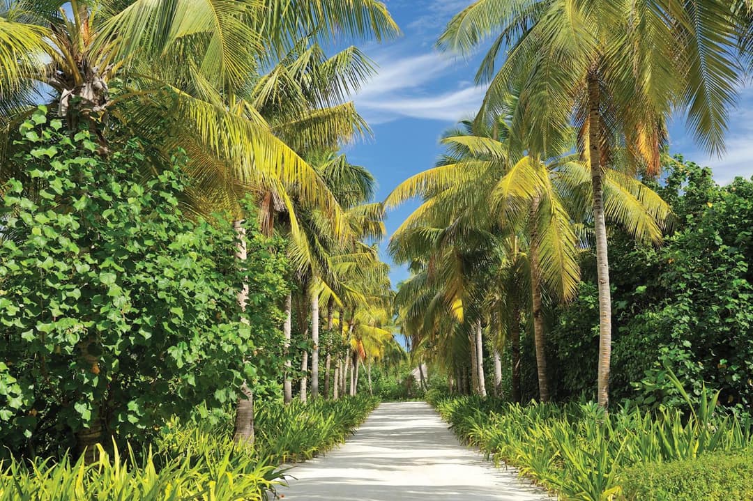 Ayada Maldives - Complimentary domestic transfer for 2 Adults for stays of 7 nights or more, valid for stay dates from May through the end of September 202 - View 85