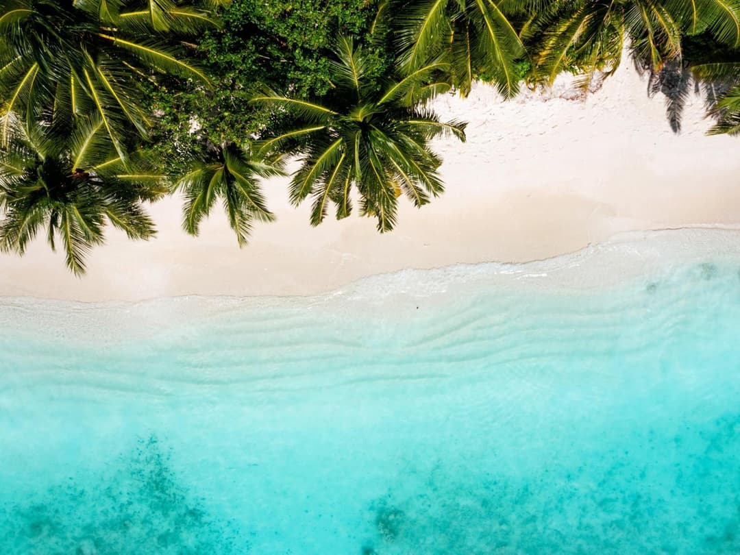 Ayada Maldives - Complimentary domestic transfer for 2 Adults for stays of 7 nights or more, valid for stay dates from May through the end of September 202 - View 65