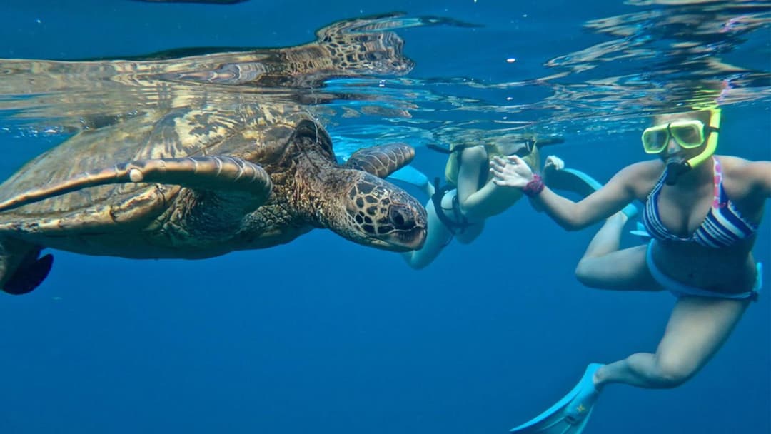 Holiday Inn Resort Kandooma Maldives - Kids Stay & Eat Free and Free Roundtrip Speed Boat for a minimum 4 nights stay - View 75