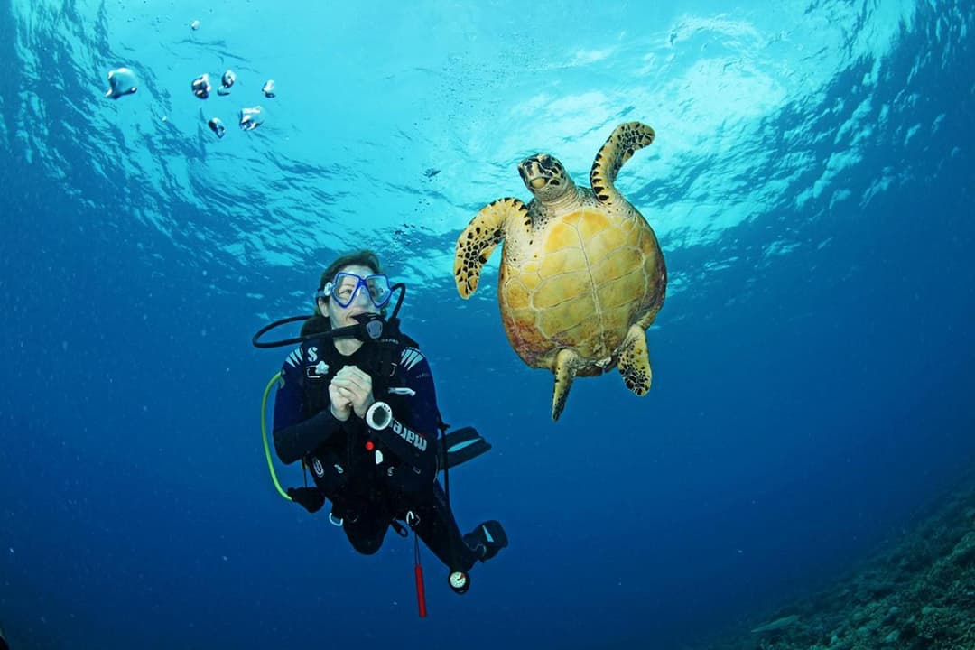 Radisson Blu Resort Maldives with 50 percent off on Sea Plane round trip 03 nights & above - View 37
