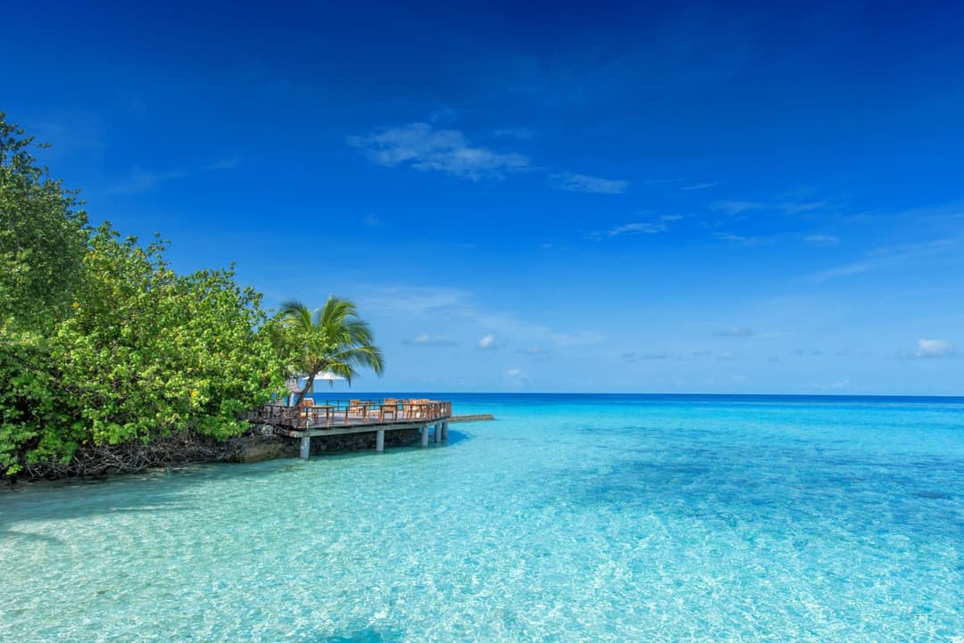 Makunudu Island- An Intimate Hideaway - Book from 30 August 2026 - Stay 7 Nights or More and Enjoy 30 Percent Off Shared Roundtrip Speedboat and Spa - Vali - View 67