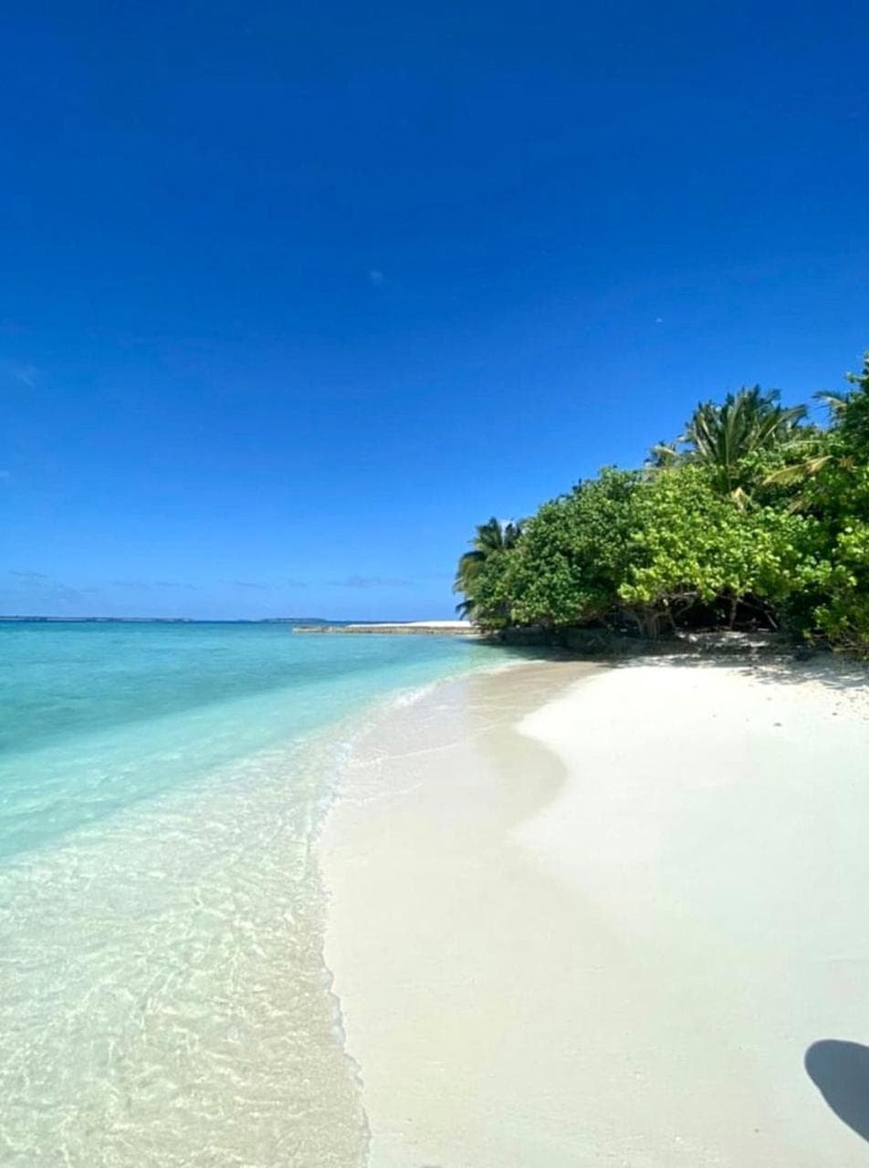 Makunudu Island- An Intimate Hideaway - Book from 30 August 2026 - Stay 7 Nights or More and Enjoy 30 Percent Off Shared Roundtrip Speedboat and Spa - Vali - View 7
