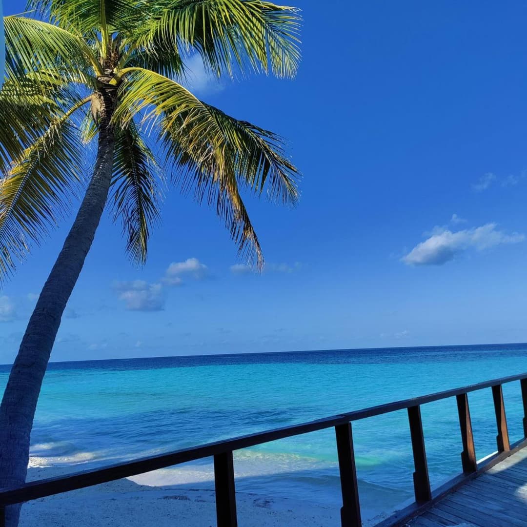 Makunudu Island- An Intimate Hideaway - Book from 30 August 2026 - Stay 7 Nights or More and Enjoy 30 Percent Off Shared Roundtrip Speedboat and Spa - Vali - View 53