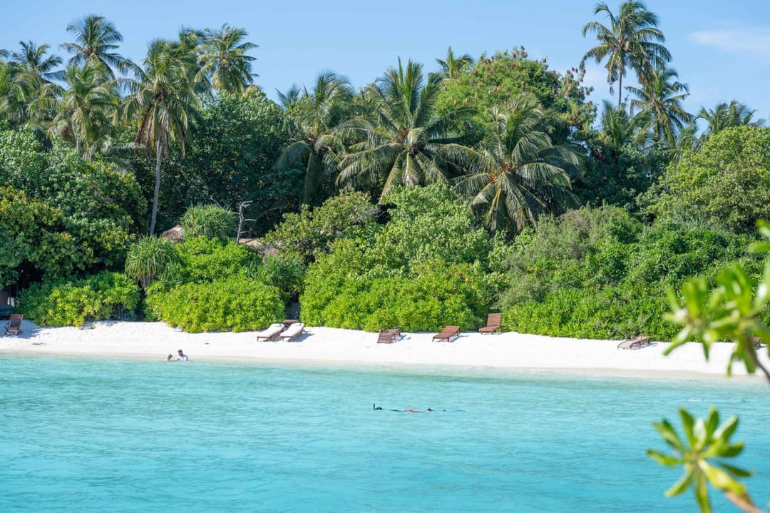 Makunudu Island- An Intimate Hideaway - Book from 30 August 2026 - Stay 7 Nights or More and Enjoy 30 Percent Off Shared Roundtrip Speedboat and Spa - Vali - View 46