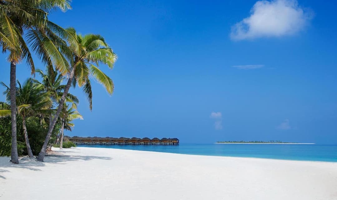 JA Manafaru, The Real Maldives - Complimentary Seaplane for 7 nights and more - Stay Period 01 May 2026 to 23 Dec 2026 - View 115