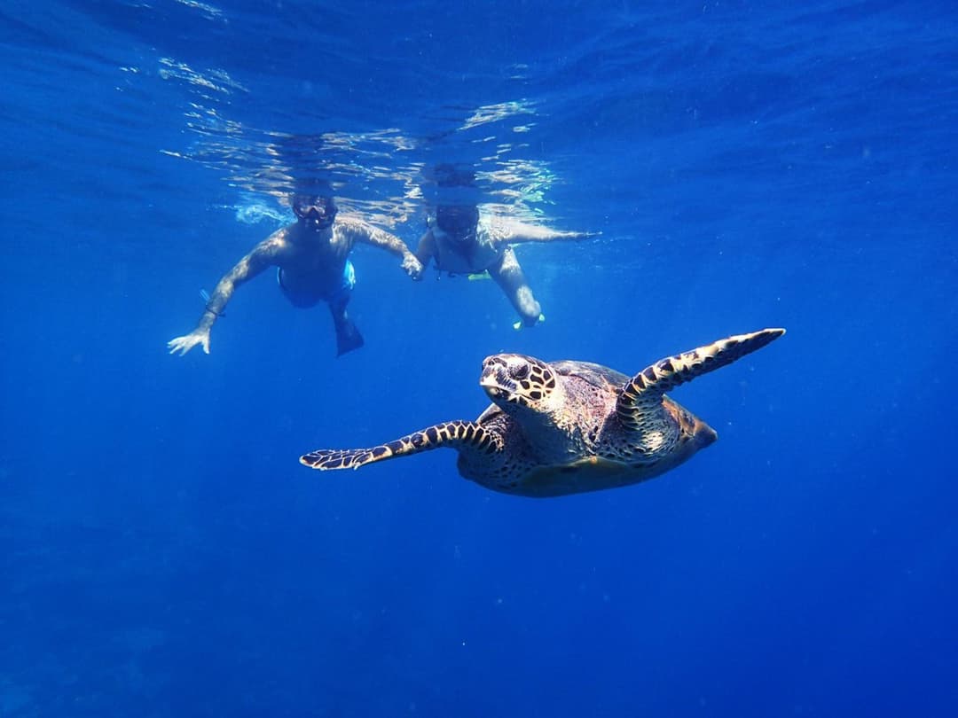 Holiday Inn Resort Kandooma Maldives - Kids Stay & Eat Free and Free Roundtrip Speed Boat for a minimum 4 nights stay - View 93