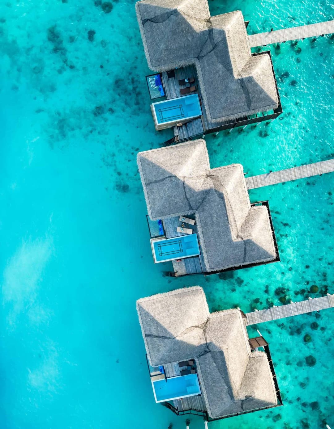 Coco Bodu Hithi - Stay 4 nights or more and enjoy 30 percent off Shared Roundtrip Speedboat, valid for stays until 31st August 2026 - View 34
