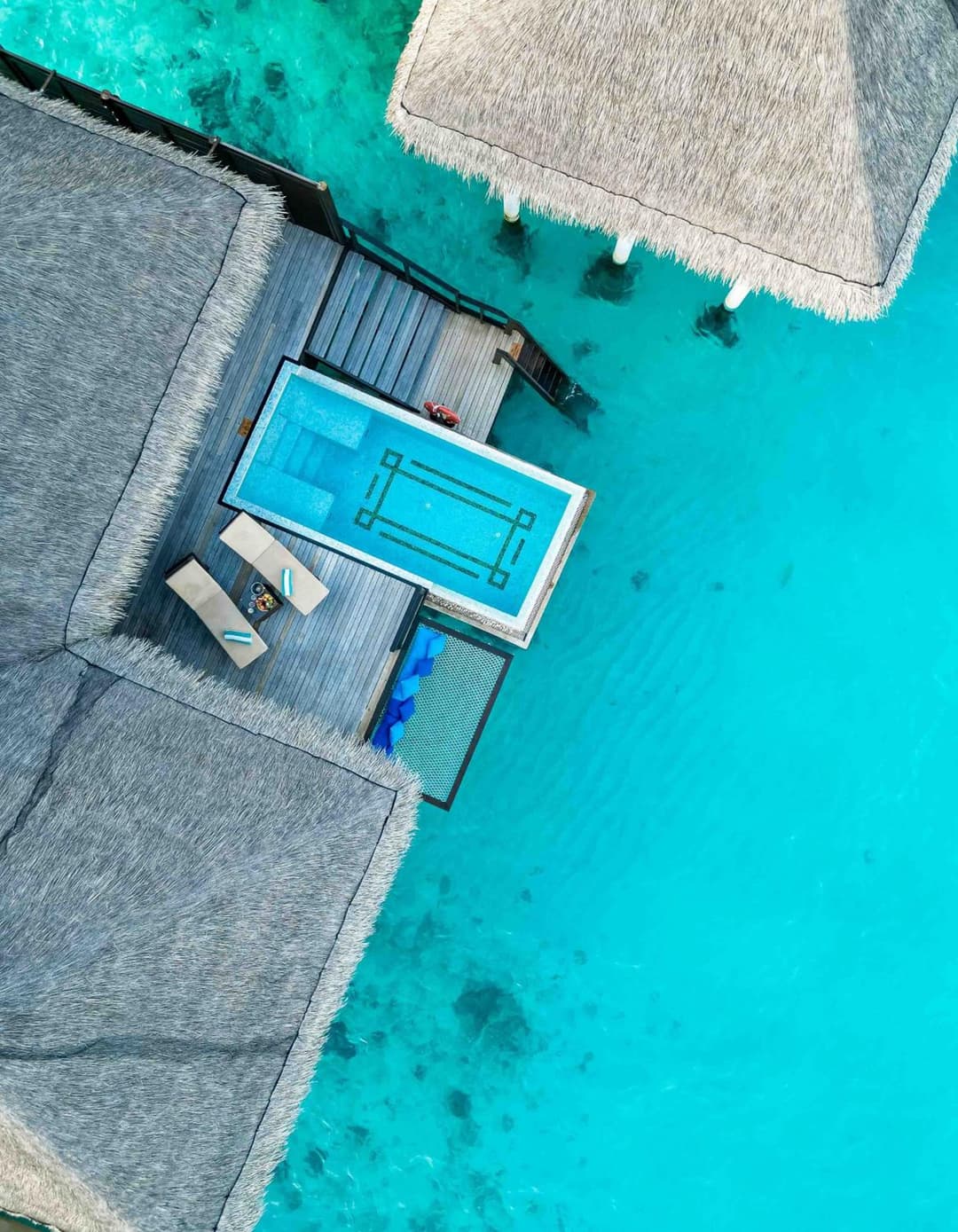 Coco Bodu Hithi - Stay 4 nights or more and enjoy 30 percent off Shared Roundtrip Speedboat, valid for stays until 31st August 2026 - View 7
