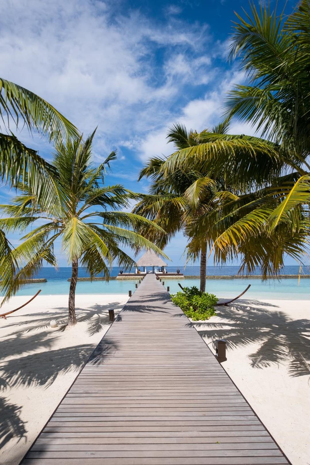 Coco Bodu Hithi - Stay 4 nights or more and enjoy 30 percent off Shared Roundtrip Speedboat, valid for stays until 31st August 2026 - View 78