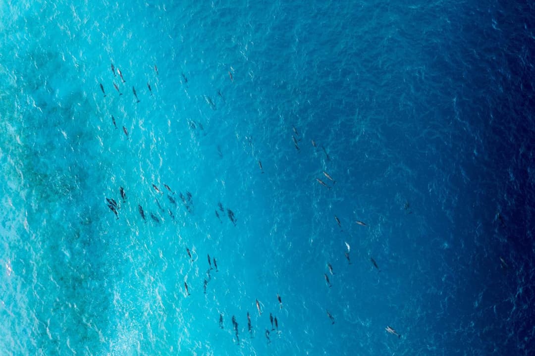 Radisson Blu Resort Maldives with 50 percent off on Sea Plane round trip 03 nights & above - View 35