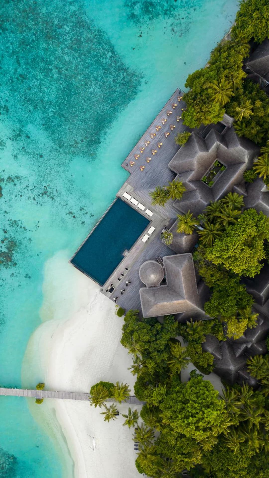 Coco Bodu Hithi - Stay 4 nights or more and enjoy 30 percent off Shared Roundtrip Speedboat, valid for stays until 31st August 2026 - View 29