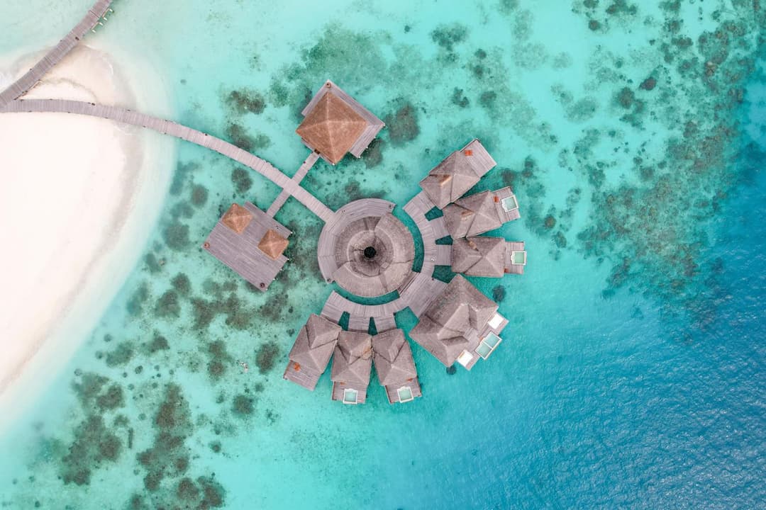 Coco Bodu Hithi - Stay 4 nights or more and enjoy 30 percent off Shared Roundtrip Speedboat, valid for stays until 31st August 2026 - View 21