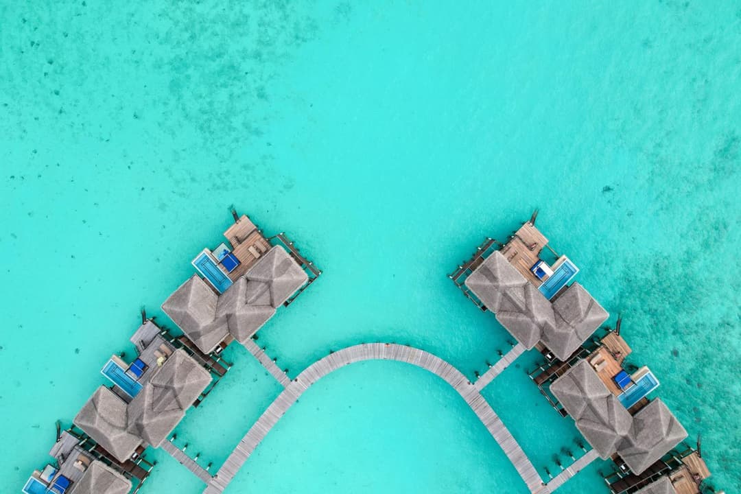 Coco Bodu Hithi - Stay 4 nights or more and enjoy 30 percent off Shared Roundtrip Speedboat, valid for stays until 31st August 2026 - View 46