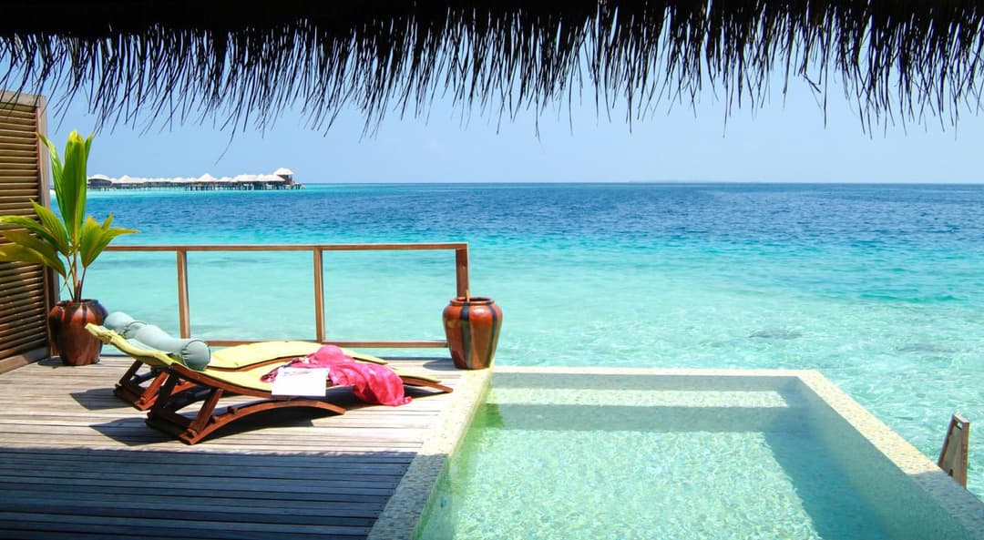 Coco Bodu Hithi - Stay 4 nights or more and enjoy 30 percent off Shared Roundtrip Speedboat, valid for stays until 31st August 2026 - View 96
