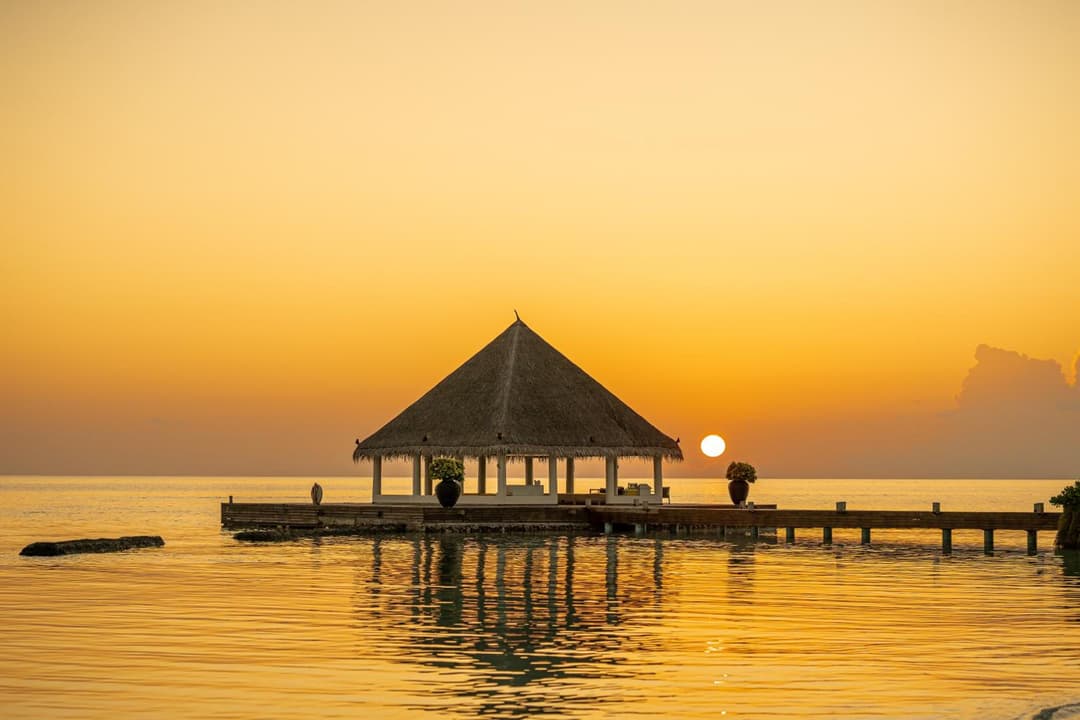 Coco Bodu Hithi - Stay 4 nights or more and enjoy 30 percent off Shared Roundtrip Speedboat, valid for stays until 31st August 2026 - View 61