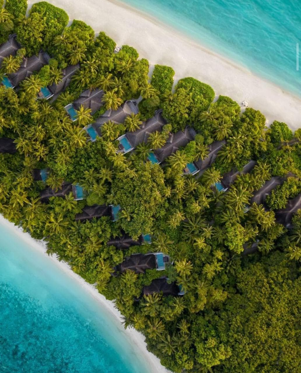 Coco Bodu Hithi - Stay 4 nights or more and enjoy 30 percent off Shared Roundtrip Speedboat, valid for stays until 31st August 2026 - View 73