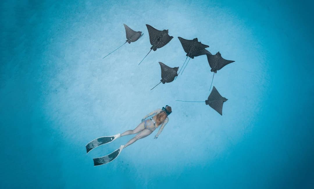 Radisson Blu Resort Maldives with 50 percent off on Sea Plane round trip 03 nights & above - View 97
