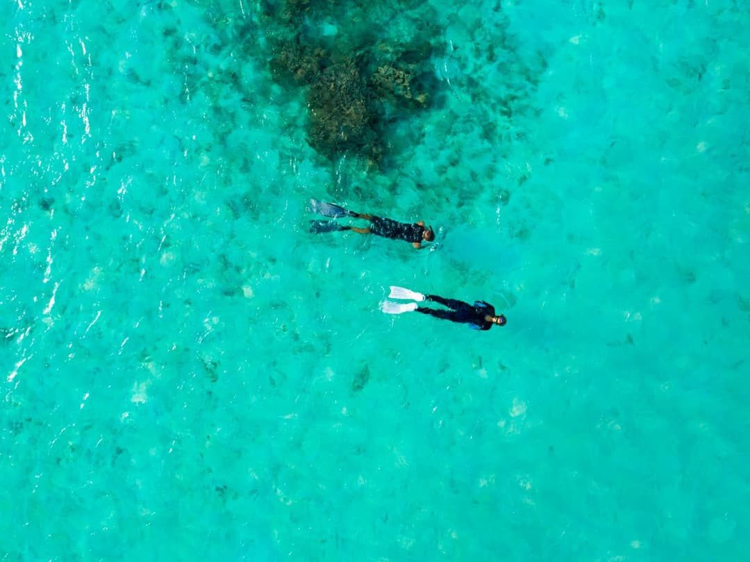 Taj Coral Reef Resort & Spa,Maldives - Premium All Inclusive with Free Transfers - View 56