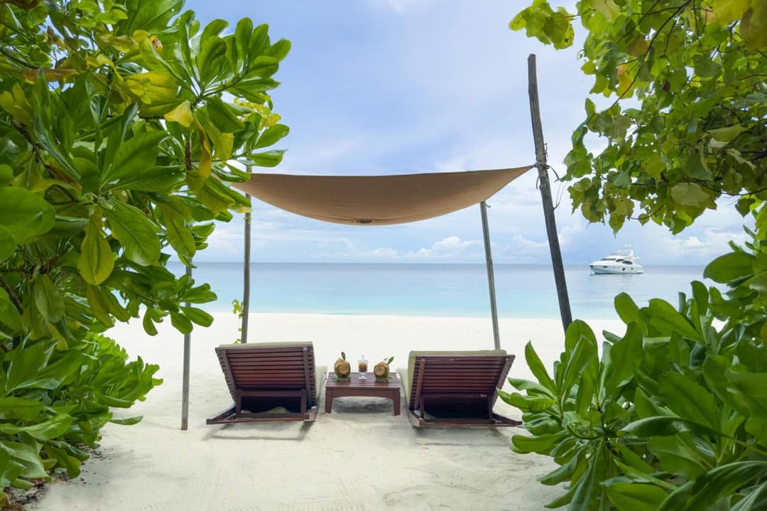 Coco Bodu Hithi - Stay 4 nights or more and enjoy 30 percent off Shared Roundtrip Speedboat, valid for stays until 31st August 2026 - View 39