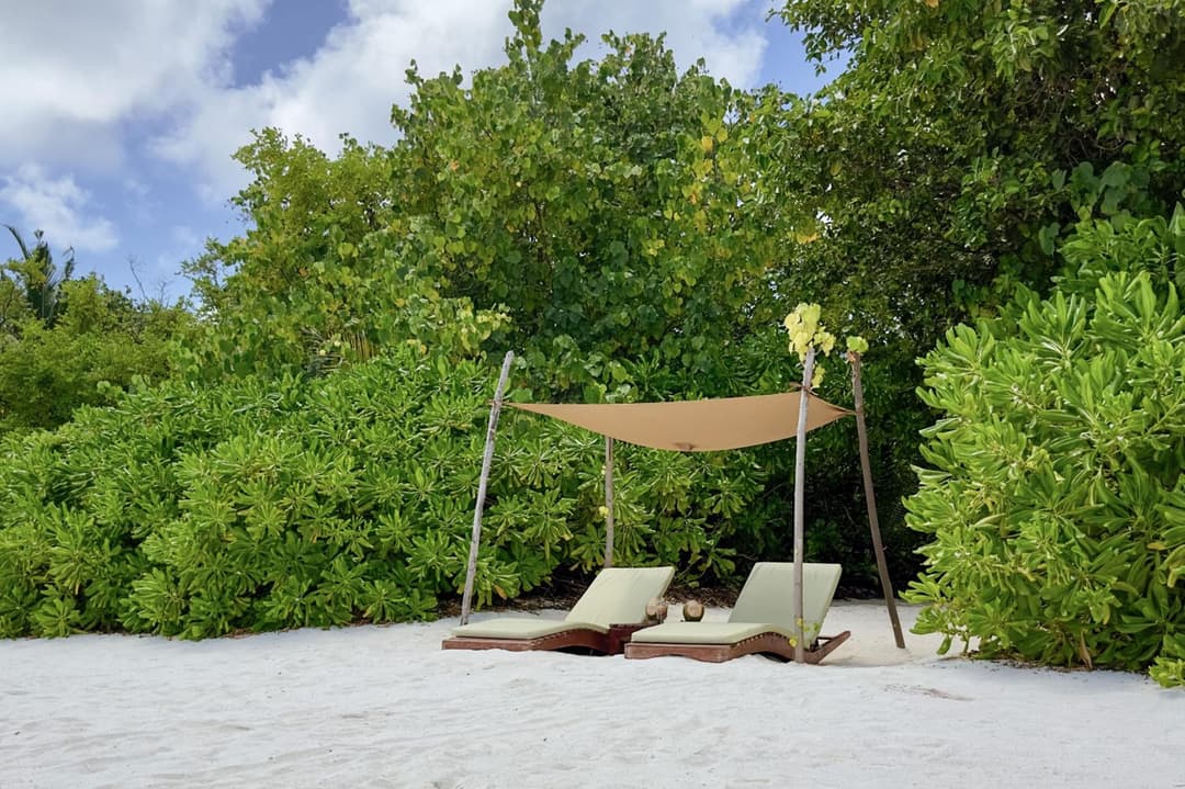 Coco Bodu Hithi - Stay 4 nights or more and enjoy 30 percent off Shared Roundtrip Speedboat, valid for stays until 31st August 2026 - View 68