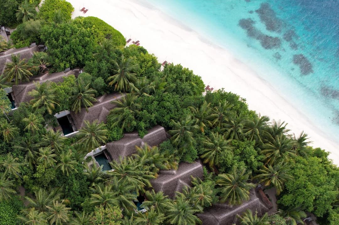 Coco Bodu Hithi - Stay 4 nights or more and enjoy 30 percent off Shared Roundtrip Speedboat, valid for stays until 31st August 2026 - View 94