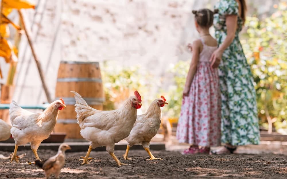 JA Manafaru, The Real Maldives - Complimentary Seaplane for 7 nights and more - Stay Period 01 May 2026 to 23 Dec 2026 - View 43