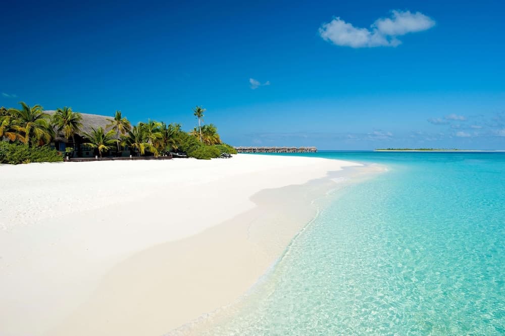 JA Manafaru, The Real Maldives - Complimentary Seaplane for 7 nights and more - Stay Period 01 May 2026 to 23 Dec 2026 - View 149